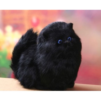 Gatito negro Ojos Azules...